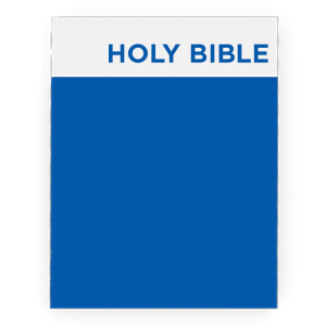 Paper Back Bible - Blue